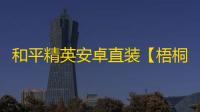 和平精英安卓直装【梧桐树直装】辅助