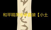 和平精英安卓直装【小土豆直装】辅助